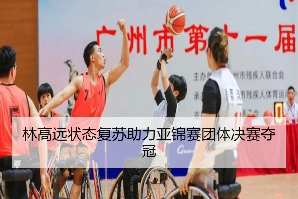 林高远状态复苏助力亚锦赛团体决赛夺冠
